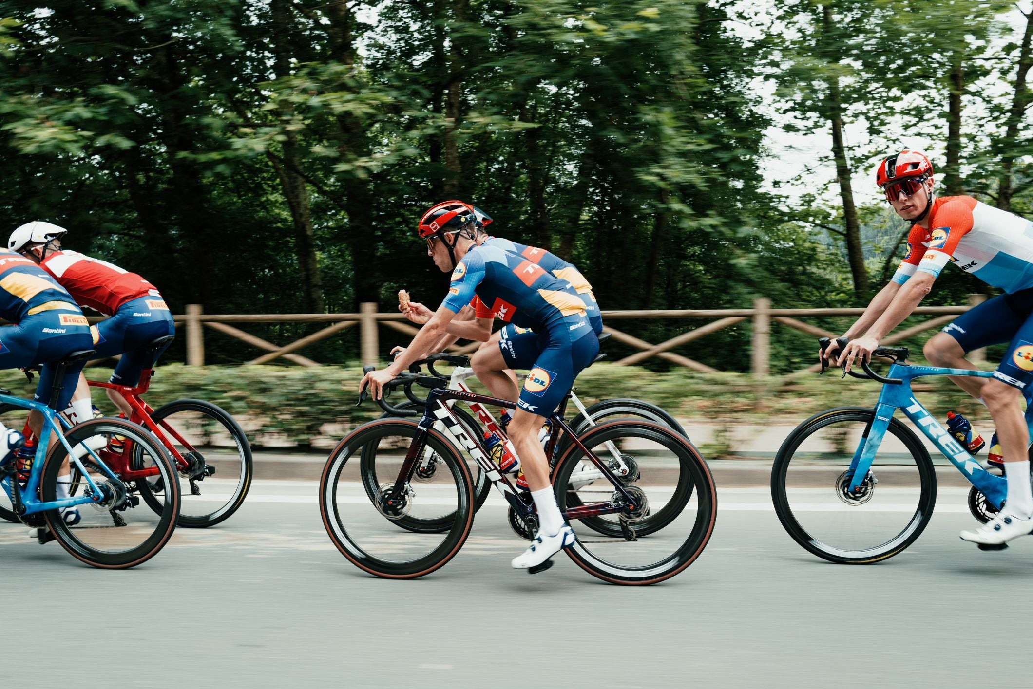 Sava & Trek Road Bikes - Carbon, Alu | Vélozone