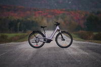 Devinci E-Griffin EP6 11v, profil gauche