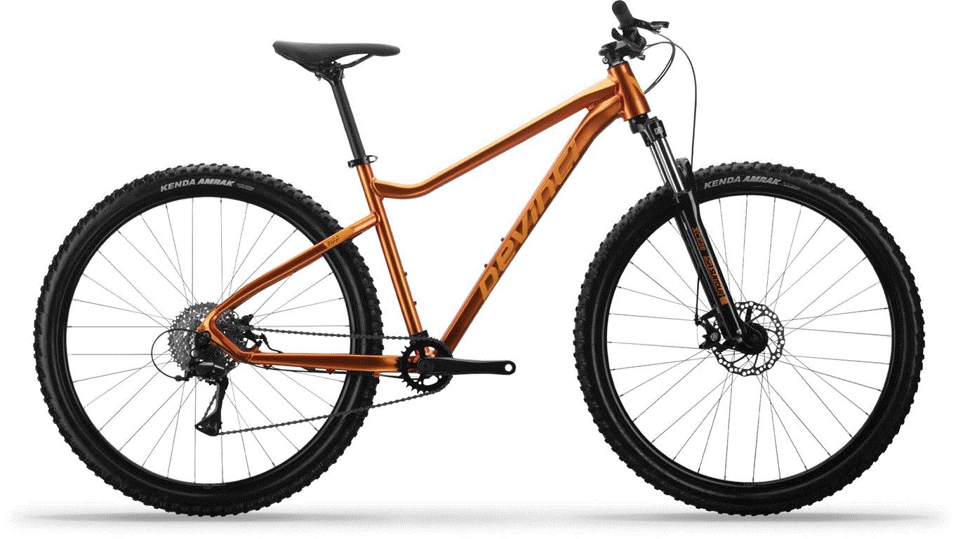 Devinci | Riff Altus 8s