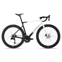 SAVA Falcon R7 DB50, variante de couleur