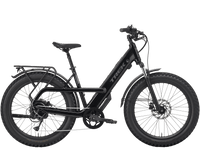 Fat bike électrique Trek Borrego+, vue d'ensemble