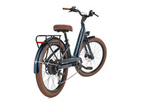 Trek Townie Go !, pédalier