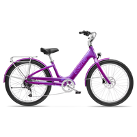 Trek Townie Go !, variante de couleur