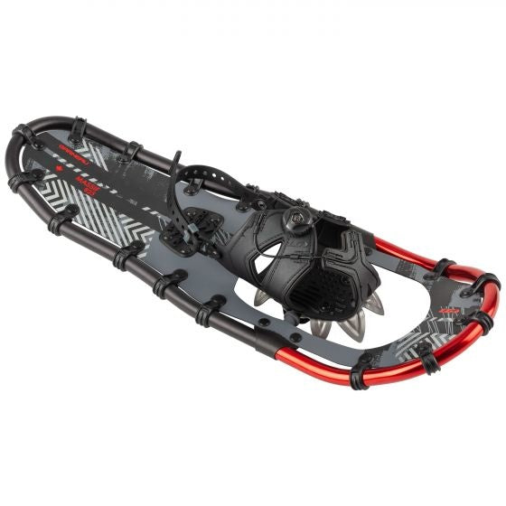 Snowshoes in the Massif