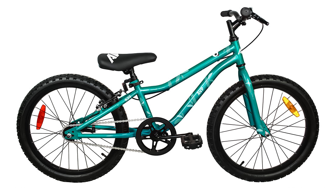 AVP K20 Bicycle - 20 inch - coaster brake 2023